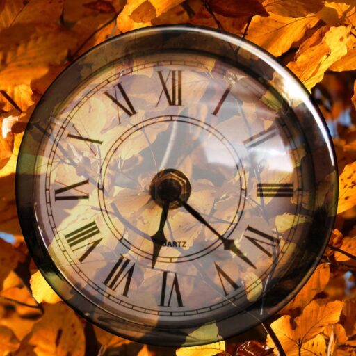 Pocket watch sitting on a pile of leaves